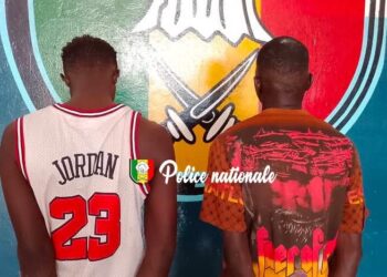 Six arrestations pour trafic de drogue à Ndamatou