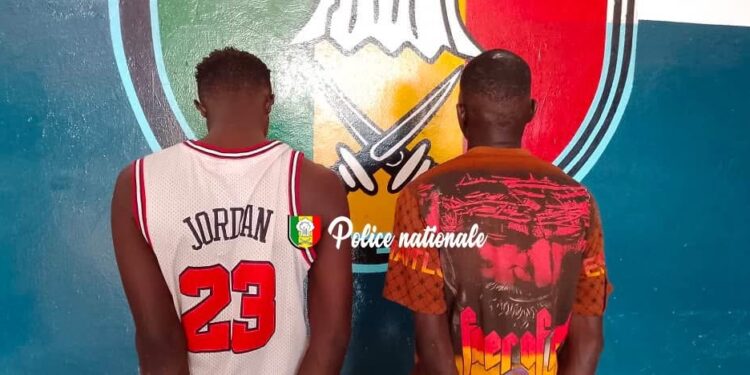 Six arrestations pour trafic de drogue à Ndamatou