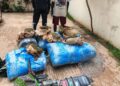 🚔🚨👨🏿‍✈️ LUTTE CONTRE LE TRAFIC DE DROGUE 243 KG DE CHANVRE INDIEN SAISIS THIAROYE SUR MER