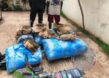 🚔🚨👨🏿‍✈️ LUTTE CONTRE LE TRAFIC DE DROGUE 243 KG DE CHANVRE INDIEN SAISIS THIAROYE SUR MER