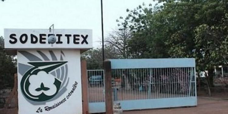 SODEFITEX : La filière cotonnière sénégalaise confirme sa montée en puissance
