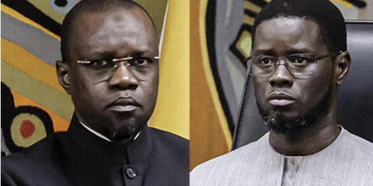 Tensions avec Pastef : Un ministre fait allégeance à la coalition Diomaye Président