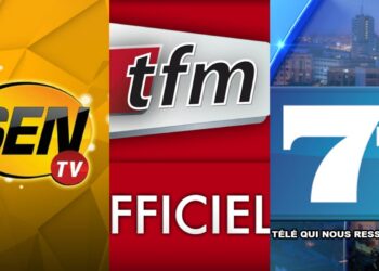 Les chiens de garde de l’ancien régime : La presse en mission contre-révolutionnaire (par Awa Diop Diagne)