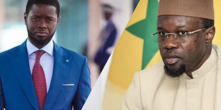 Dette publique et FMI : Jeff Grills annonce une mauvaise nouvelle aux autorités sénégalaises