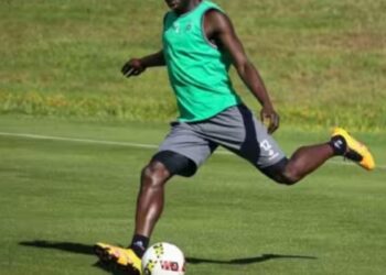 Faux documents : un ancien défenseur des Lions arrêté