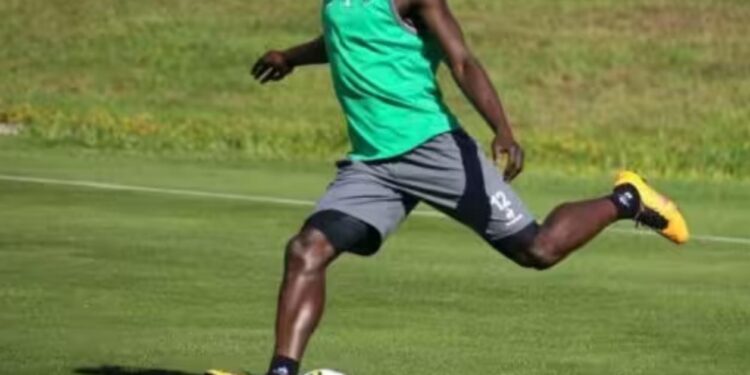 Faux documents : un ancien défenseur des Lions arrêté