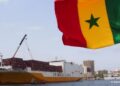 Port Autonome de Dakar : l&rsquo;Arcop annule l&rsquo;attribution d&rsquo;un marché de plus de 520 millions F CFA