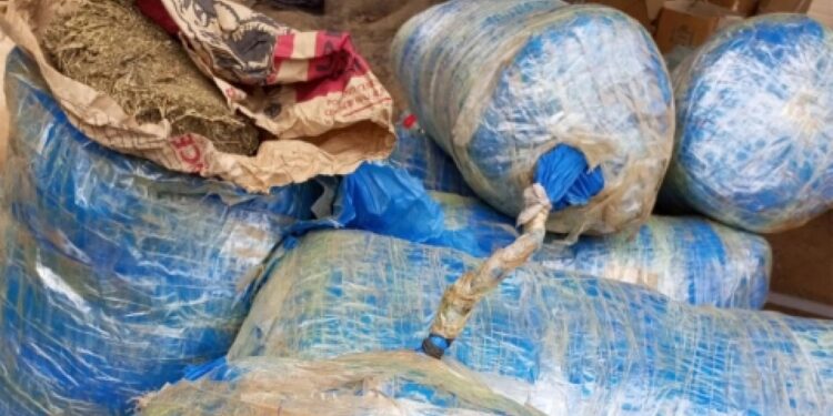 Diofior : une pirogue transportant 207 kg de chanvre indien interceptée lors d’une opération nocturne