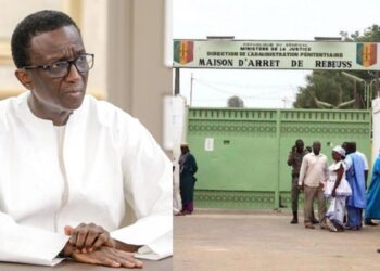 Ibrahima Ba et Cheikh Tidiane Seck libérés sous caution de 550 millions FCFA