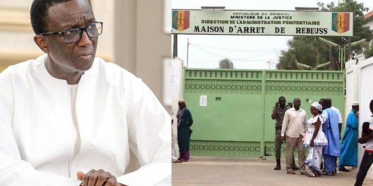 Ibrahima Ba et Cheikh Tidiane Seck libérés sous caution de 550 millions FCFA