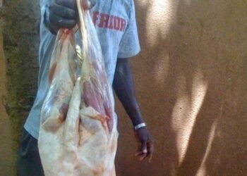 Parcelles Assainies : un chauffeur surpris en train de dépecer un …