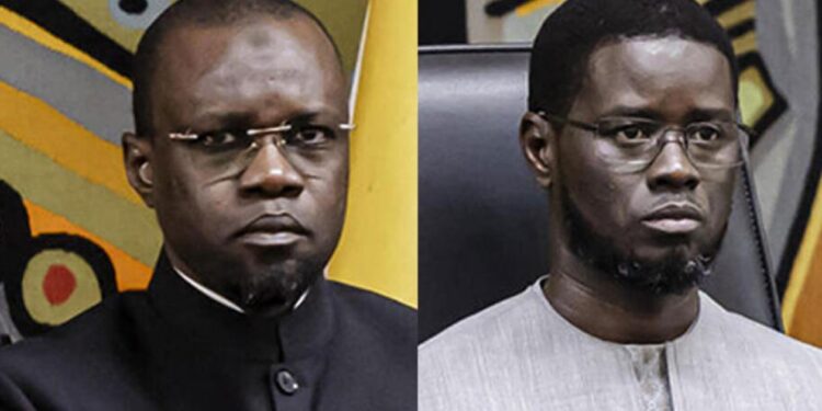 « Diomaye Faye n’est pas le Medvedev de Sonko » : Les explications d&rsquo;un cadre du Pastef