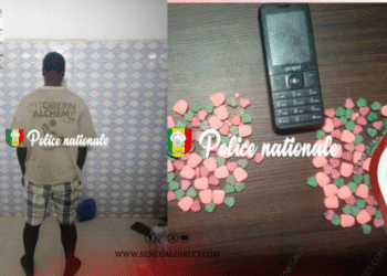 TGI Mbour : Arrêté avec 187 comprimés d’ecstasy, le prévenu parle de vitamine C