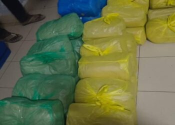 59 kg de drogue saisis à la Médina : Comment la BRS de Dakar a pisté le colis depuis Fatick, 2 arrestations