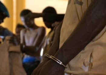 Saint-Louis : un nouveau réseau de présumés homosexuels démantelé, trois arrestations