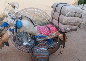 Sédhiou : un motocycliste intercepté avec 43 kg de chanvre indien après une course-poursuite