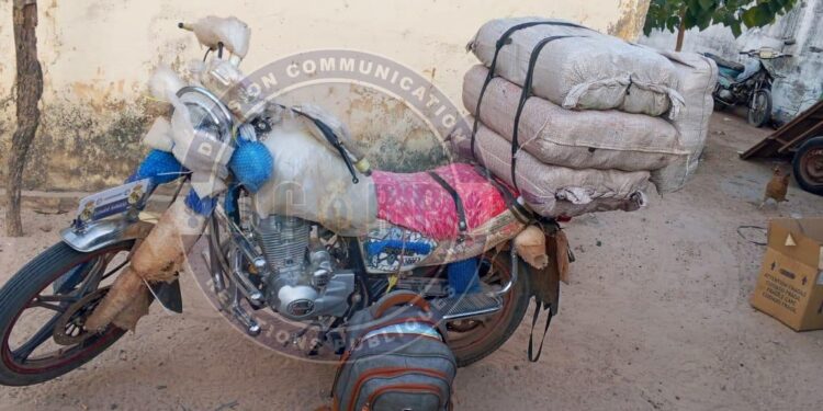 Sédhiou : un motocycliste intercepté avec 43 kg de chanvre indien après une course-poursuite