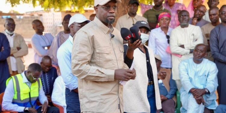 Circulaire du PM sur le riz local : CICODEV applaudit et donne des orientations