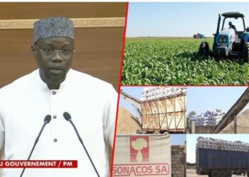 Campagne arachidière : la Sonacos réalise un record, mais reste loin des attentes de Sonko