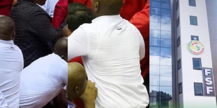 FSF : un Comex électrique, récit d&rsquo;un déballage