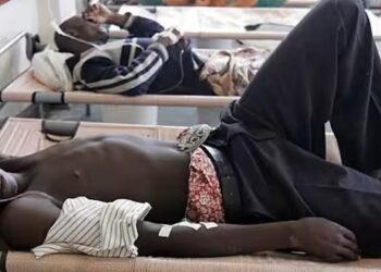 800 cas et 24 décès: Les chiffres préoccupants de la tuberculose à Kaolack