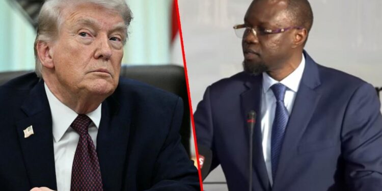 Sonko-Trump : La vérité contre la bienséance (par Adama Ndiaye)