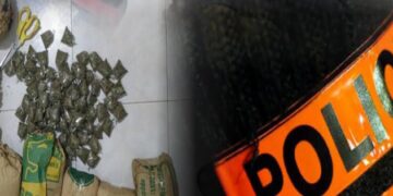 Mbour : deux dealers arrêtés avec 2 kg de chanvre indien au croisement de Saly