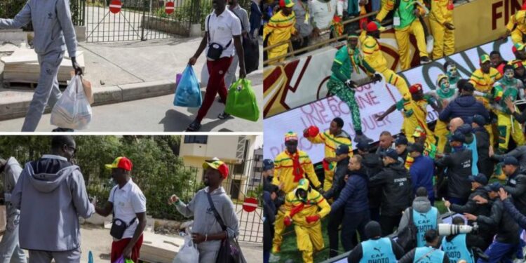 «18 Sénégalais otages du Maroc» : les trois supporters des Lions libérés racontent