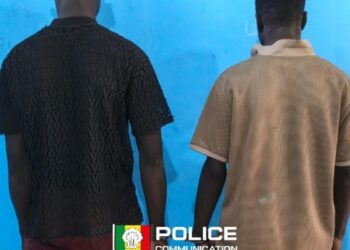 Trahis par les caméras : Les voleurs de batteries de Jaxaay et Niacourab tombent dans les filets de la police