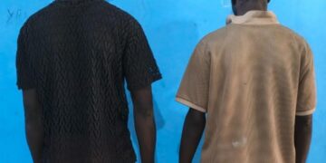 Trahis par les caméras : Les voleurs de batteries de Jaxaay et Niacourab tombent dans les filets de la police