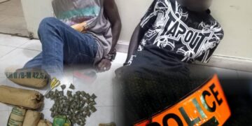 Coup de filet spectaculaire : un boucher et un capitaine de pirogue tombent avec un énorme stock de drogue