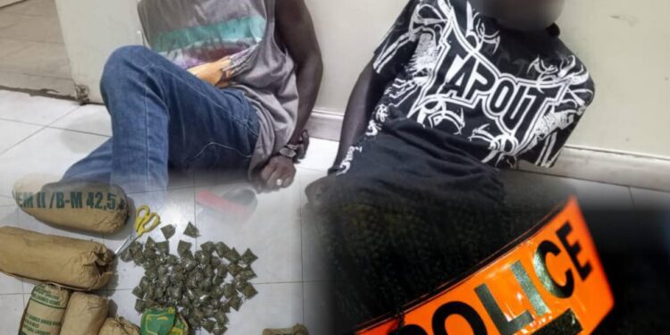 Coup de filet spectaculaire : un boucher et un capitaine de pirogue tombent avec un énorme stock de drogue
