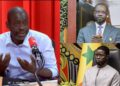 Ousmane Sonko – Diomaye Faye : La position de Felwine Sarr