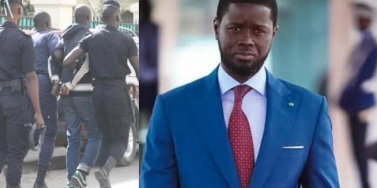 Amadou B. : «Diomaye, tu n’es pas f… Toi, ton procureur et tes juges, nous allons vous…»