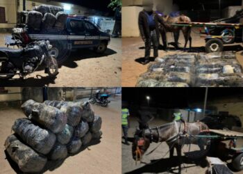 Coup de filet de la gendarmerie à Joal : 360 kg de drogue saisis, suspects en fuite