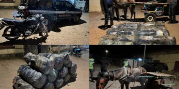 Coup de filet de la gendarmerie à Joal : 360 kg de drogue saisis, suspects en fuite