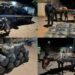 Coup de filet de la gendarmerie à Joal : 360 kg de drogue saisis, suspects en fuite