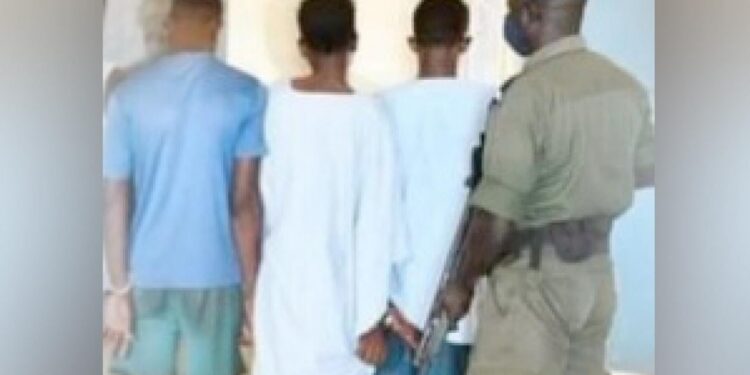 Assassinat à Mbour : un motocycliste exécuté puis abandonné en pleine brousse, trois auteurs présumés arrêtés par la BR de Saly
