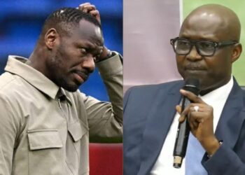 Mondial des Lions : Tout allait bien… paraît-il