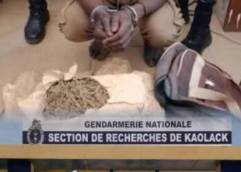 Trafic de drogue : un gendarme et son père arrêtés par la SR de Kaolack, plus de 2 kg saisis