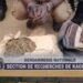 Trafic de drogue : un gendarme et son père arrêtés par la SR de Kaolack, plus de 2 kg saisis