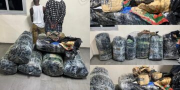 Plus de 300 kg de drogue saisis à Thiaroye : deux dealers arrêtés par la BR de Keur Massar