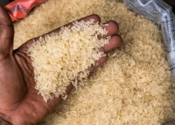 Polémique sur la qualité du riz : Babacar Béye de l&rsquo;ITA explique pourquoi les conclusions du Centre antipoison sont inadaptées