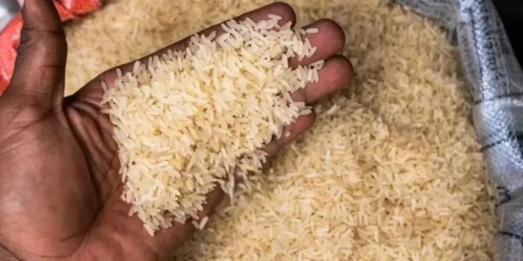 Polémique sur la qualité du riz : Babacar Béye de l&rsquo;ITA explique pourquoi les conclusions du Centre antipoison sont inadaptées