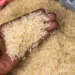 Polémique sur la qualité du riz : Babacar Béye de l&rsquo;ITA explique pourquoi les conclusions du Centre antipoison sont inadaptées