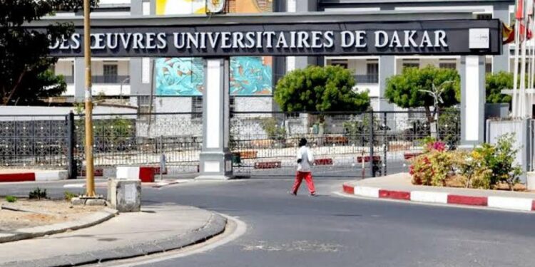 Justice : la folle histoire qui oppose un professeur de l&rsquo;UCAD à son ex-épouse