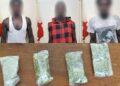 Drogue dissimulée dans un tam-tam à Yoff : cinq suspects arrêtés par la gendarmerie