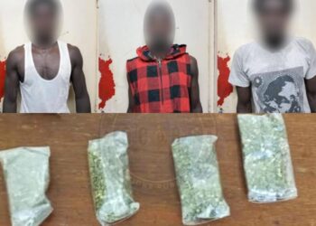 Drogue dissimulée dans un tam-tam à Yoff : cinq suspects arrêtés par la gendarmerie