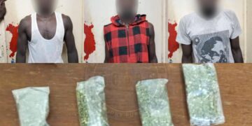 Drogue dissimulée dans un tam-tam à Yoff : cinq suspects arrêtés par la gendarmerie