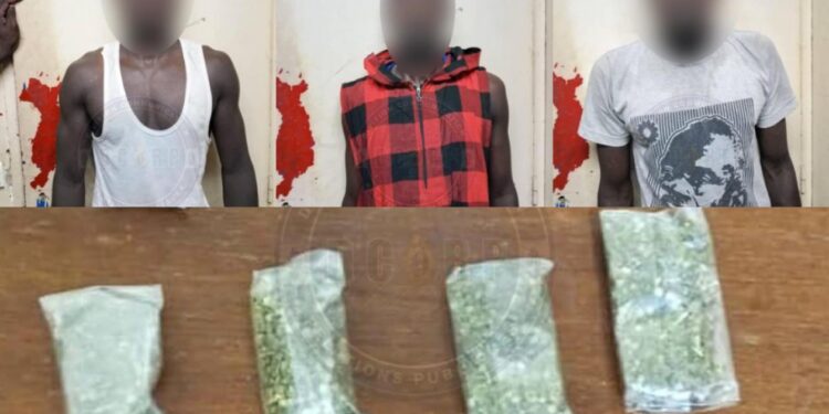 Drogue dissimulée dans un tam-tam à Yoff : cinq suspects arrêtés par la gendarmerie